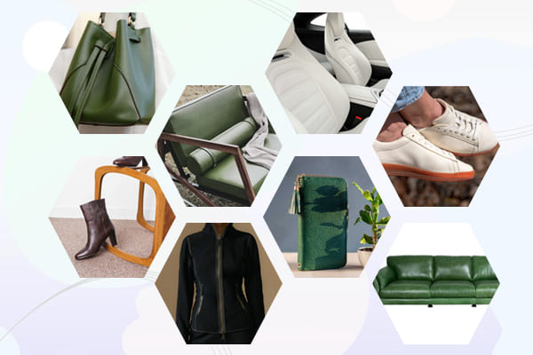 biodegradable leather priority application range