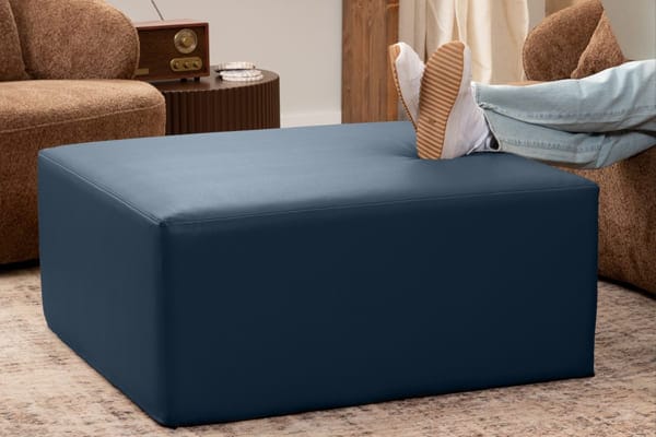 Sofa furniture case